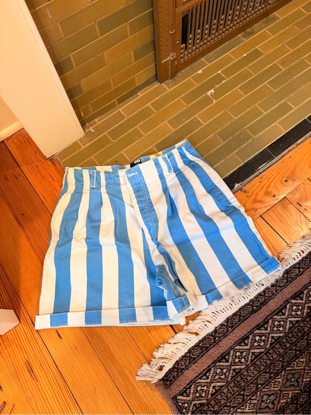 Anthropologie Blue and White Vertical Stripe Women's Shorts